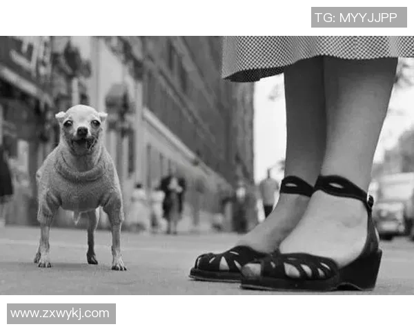 在日本街头捕捉足球明星的精彩瞬间与独特风采 在日本街头捕捉足球明星的精彩瞬间与独特风采