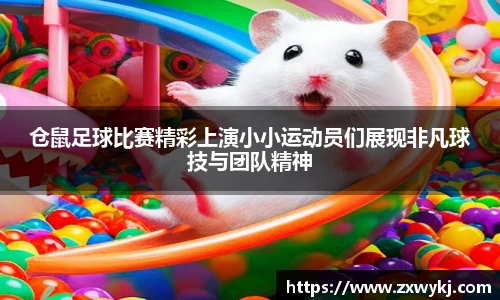 BBINGAMES官方网站