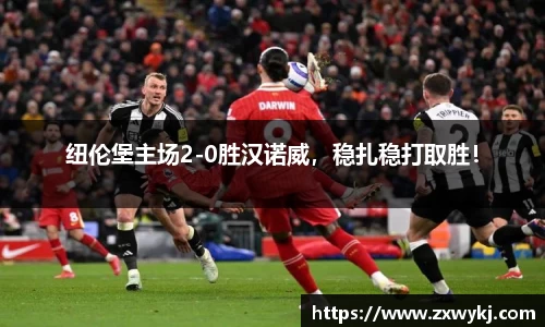 纽伦堡主场2-0胜汉诺威，稳扎稳打取胜！