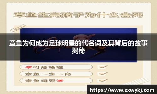 BBIN宝盈